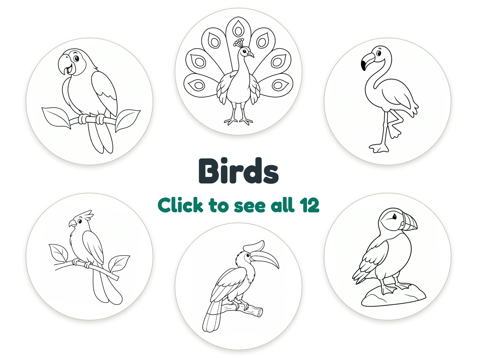 Preview of 12 Exotic Birds nightlight coloring pictures