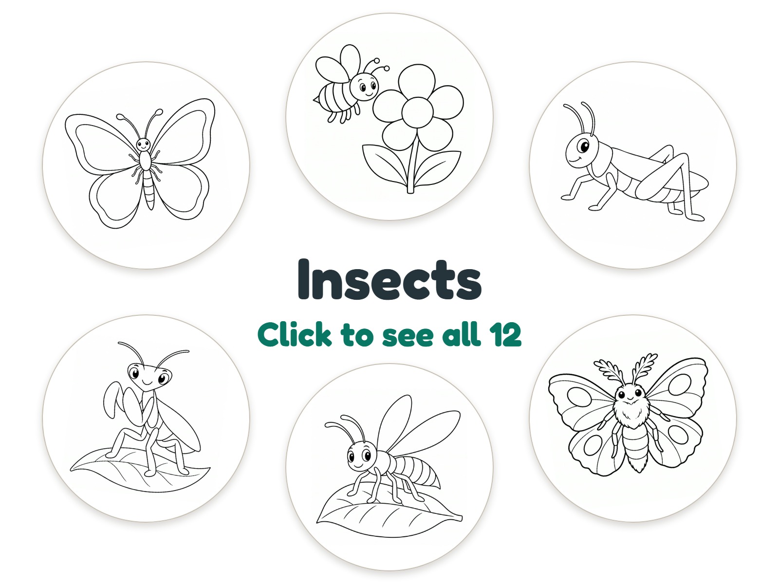 Preview of 12 Insects nightlight coloring pictures