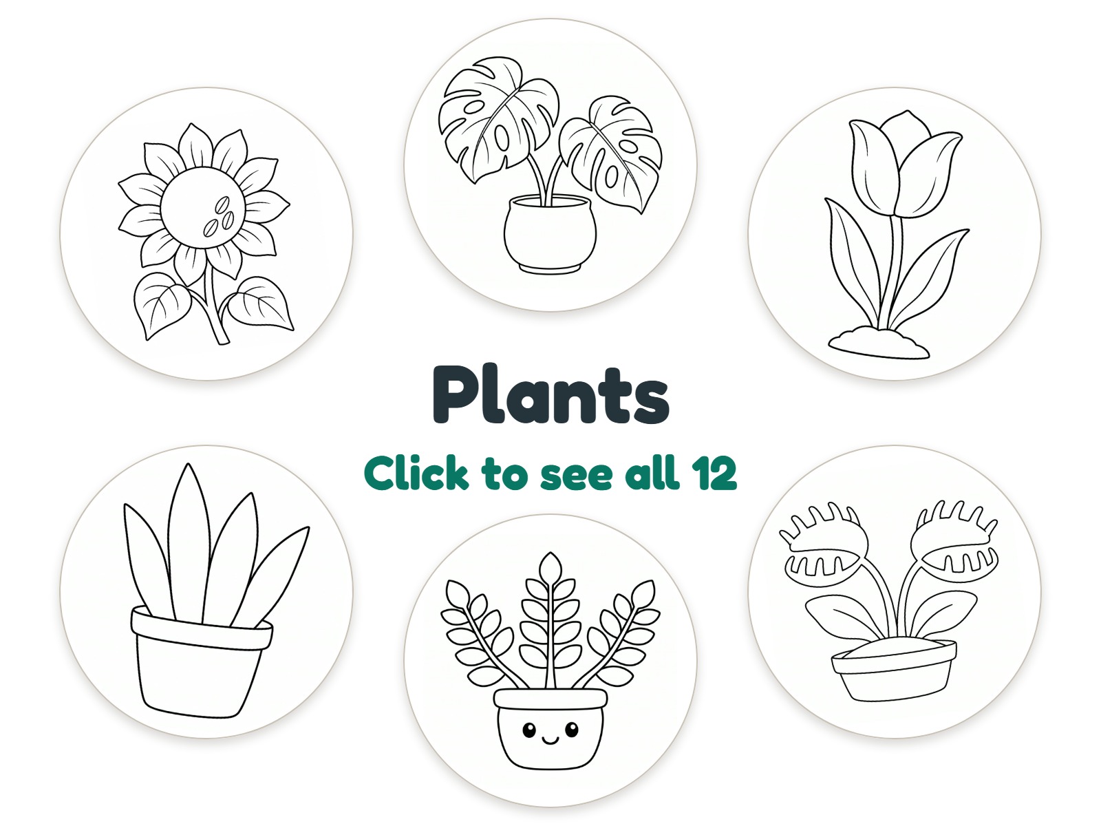 Preview of 12 Plants nightlight coloring pictures